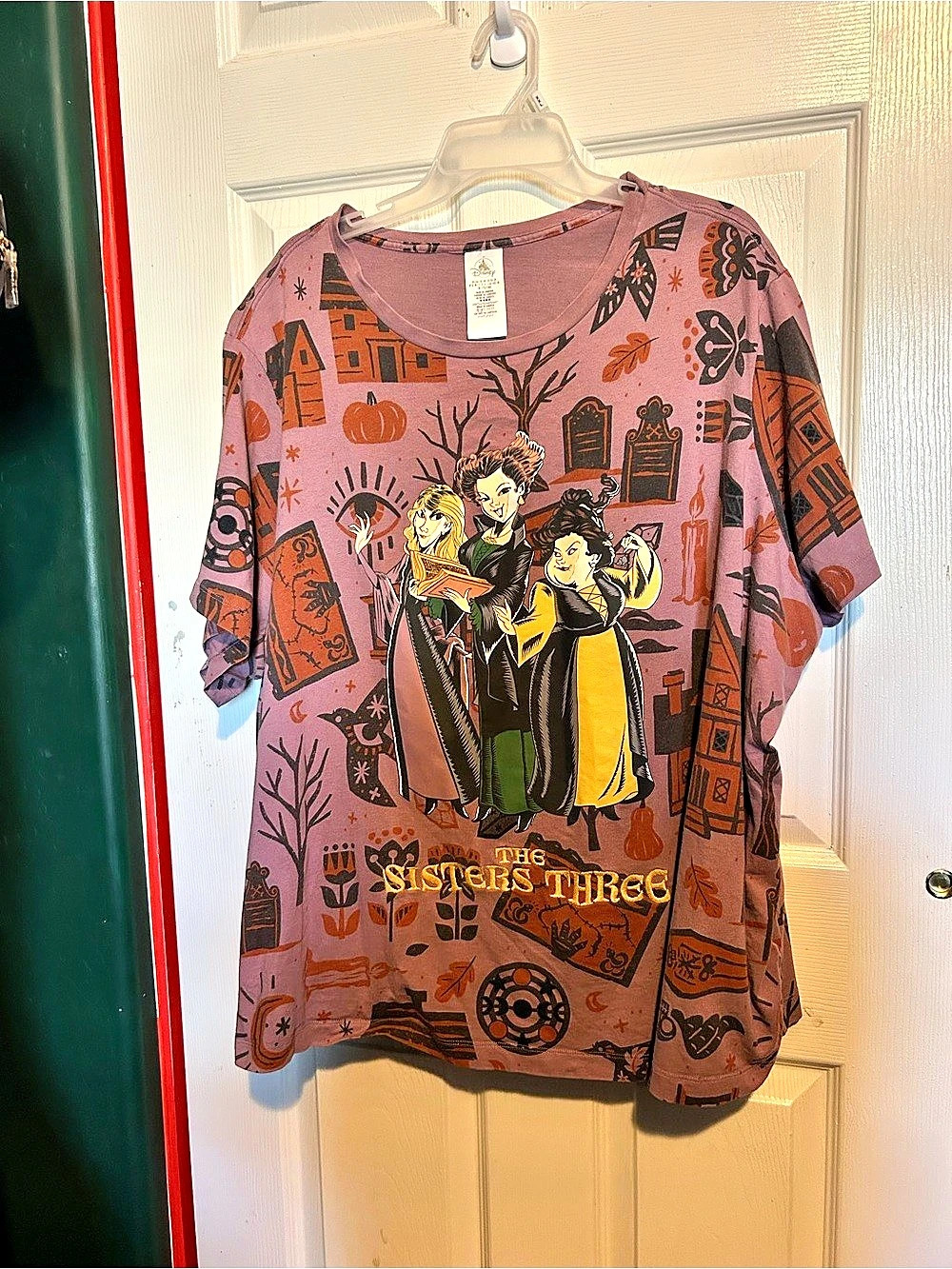 Disney Hocus Pocus The Sisters Three Graphic Short Sleeve Tee (3X)